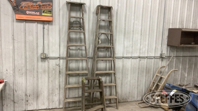 (3) Wooden Ladders